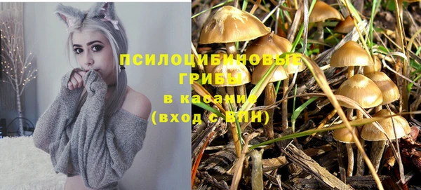 спайс Дмитриев