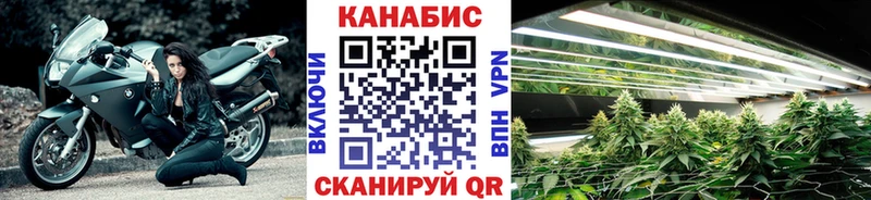 Купить закладки  Старица  Бошки Шишки VHQ 